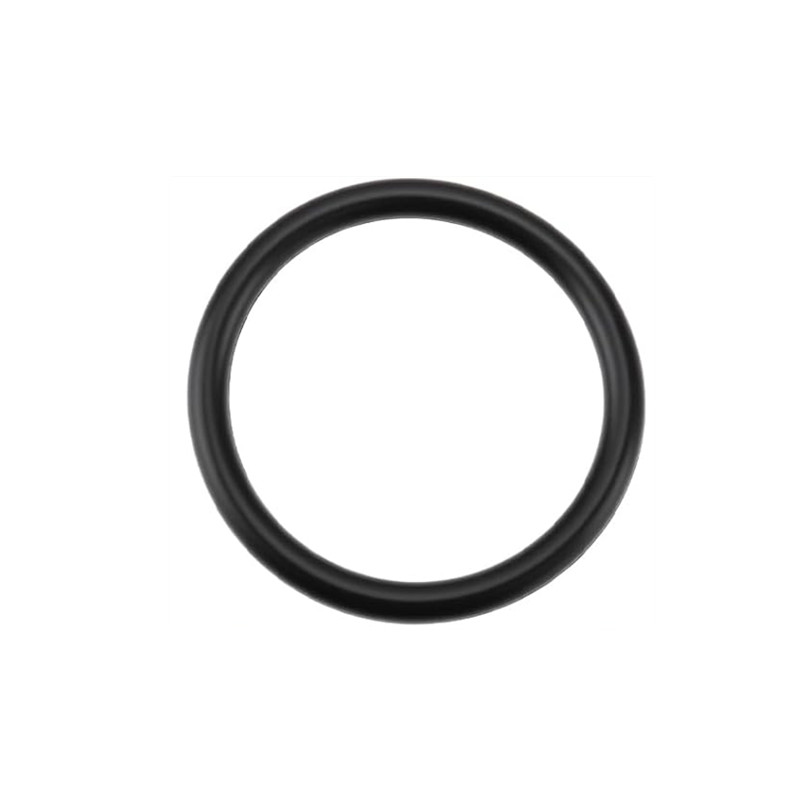 1 pieza 55582541 Anillo de sel - Tank O-Ring Seal reseña y precio